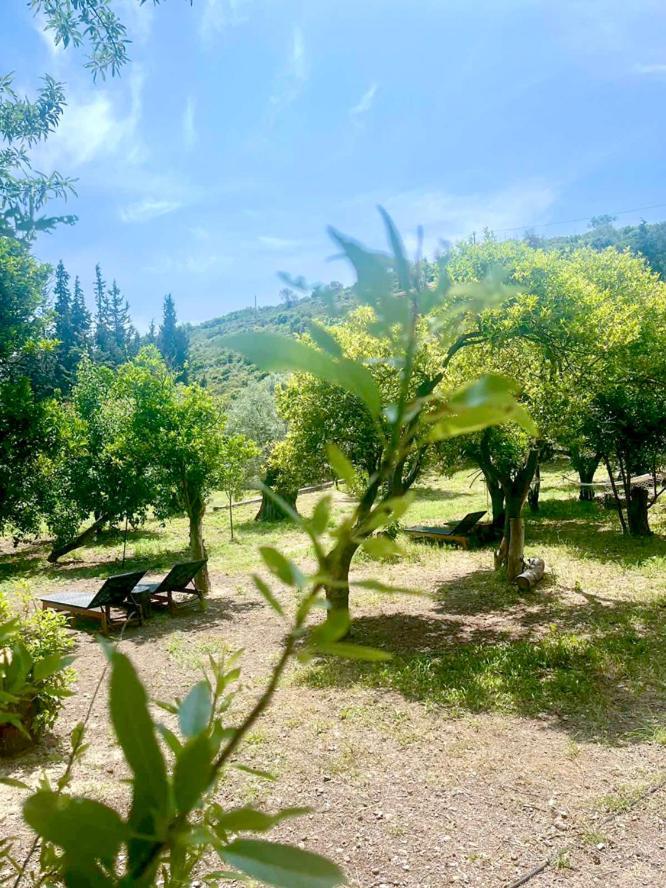 Lithea Villas And Studios By The Sea Agios Petros  ภายนอก รูปภาพ