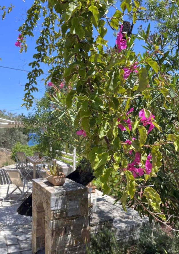Lithea Villas And Studios By The Sea Agios Petros  ภายนอก รูปภาพ