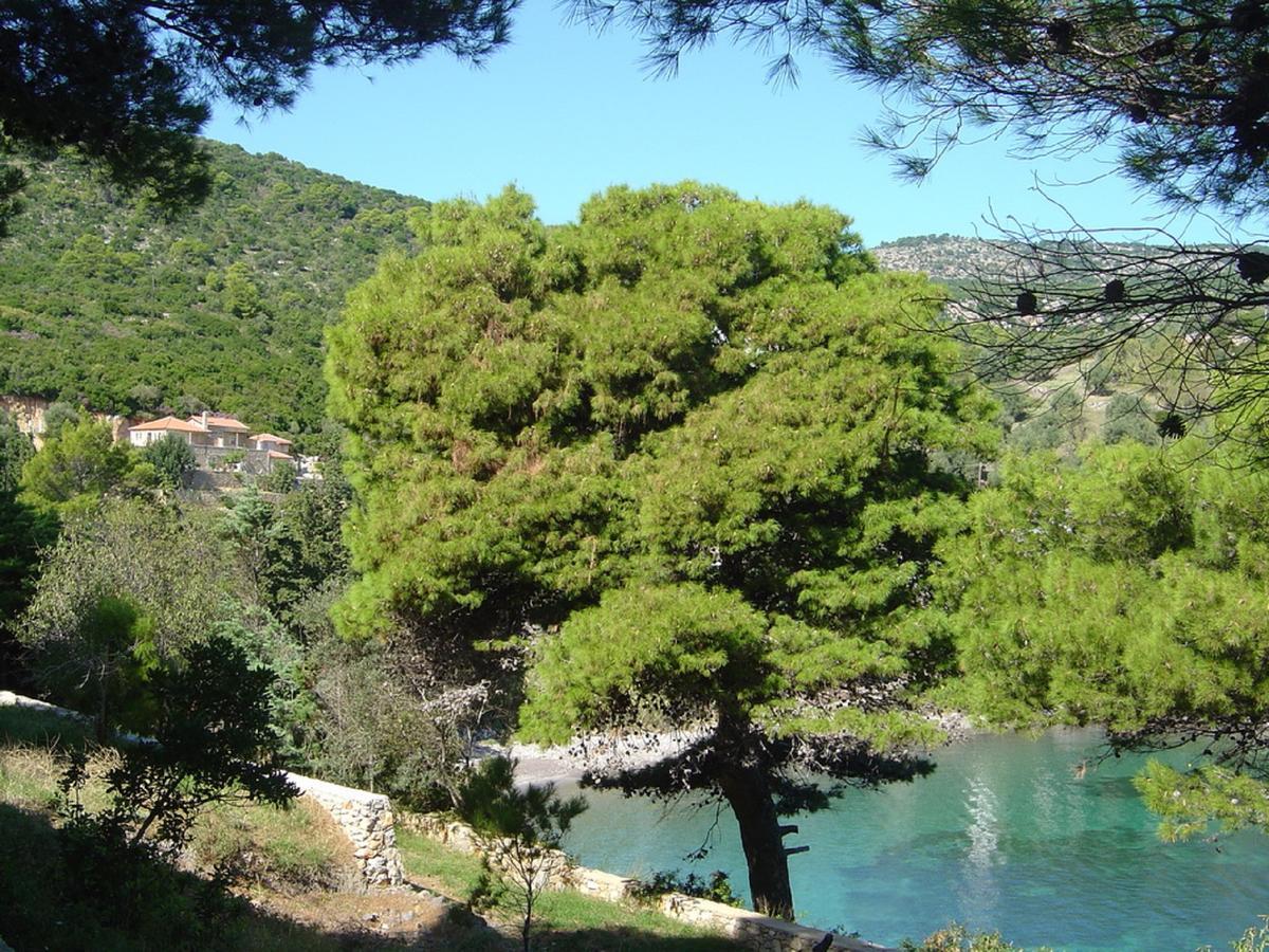 Lithea Villas And Studios By The Sea Agios Petros  ภายนอก รูปภาพ